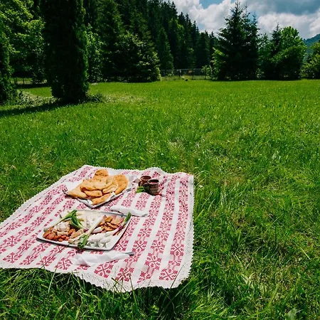Camping Casute Valea Zanelor *